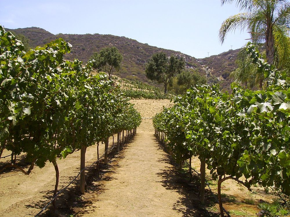 Vineyard Hacienda Hotel Spring Valley  Exterior photo